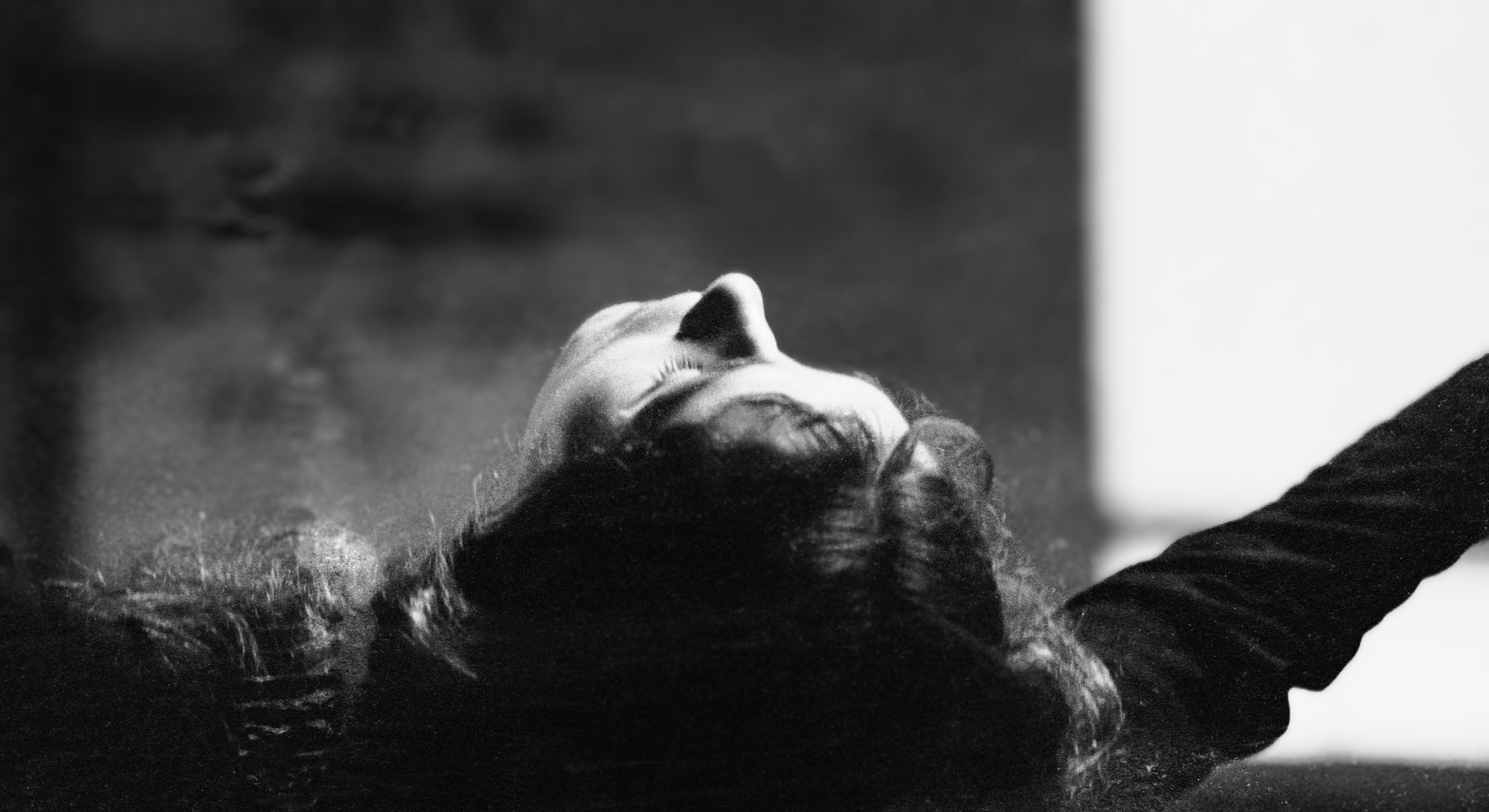 1976 Lindsay Kemp 21